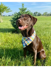 Load image into Gallery viewer, Lake Dog Bandana