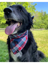 Load image into Gallery viewer, Lake Dog Bandana