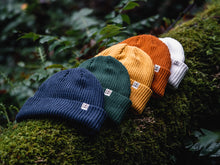 Load image into Gallery viewer, Colorful beanies

